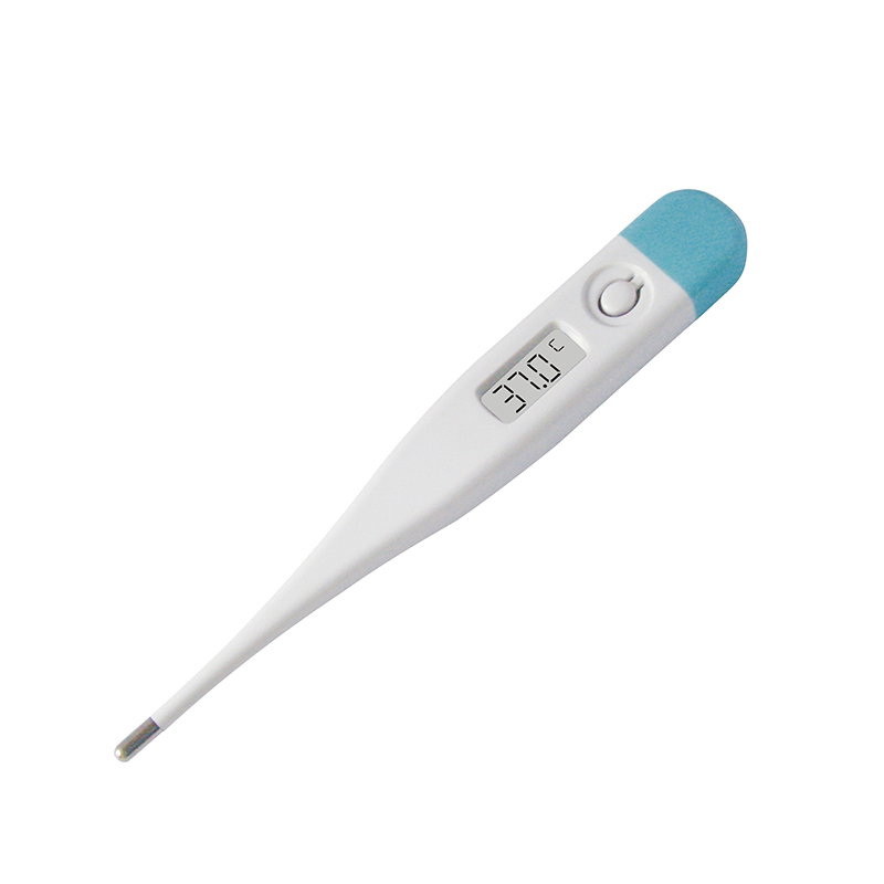 Transparent Digital Thermometer Series